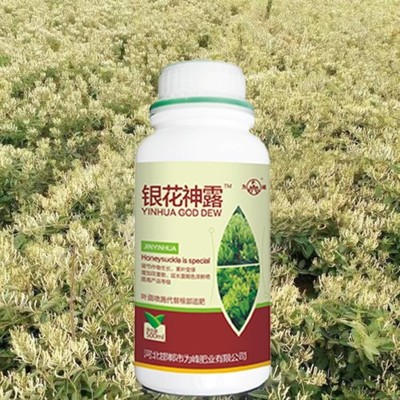 為峰肥業(yè)金銀花高產(chǎn)水溶肥 打造葉面肥代理新模式，助金銀花種植增效提質(zhì)
