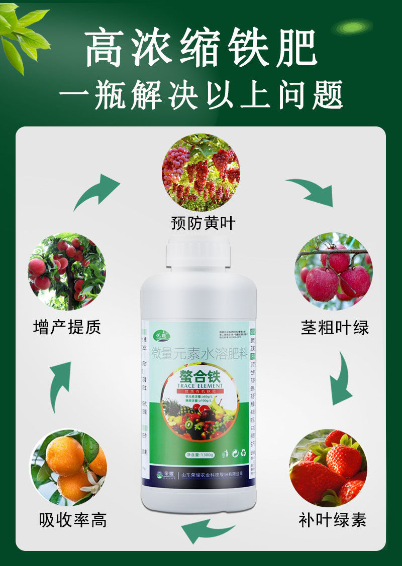 鐵肥作用全解析 防治黃葉病，一舉多得！
