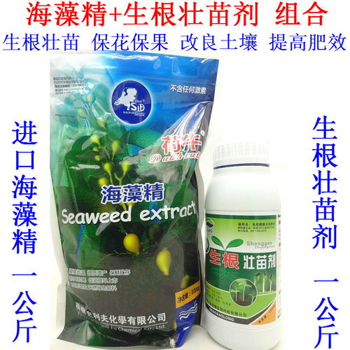 綠色農(nóng)業(yè)新選擇 天然海藻精肥料助力果蔬增產(chǎn)增效